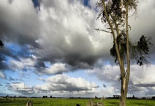 天涯论坛娱乐八卦景甜新鲜事。